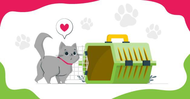 Почему страхование домашних животных является обязательным для ответственных хозяев?